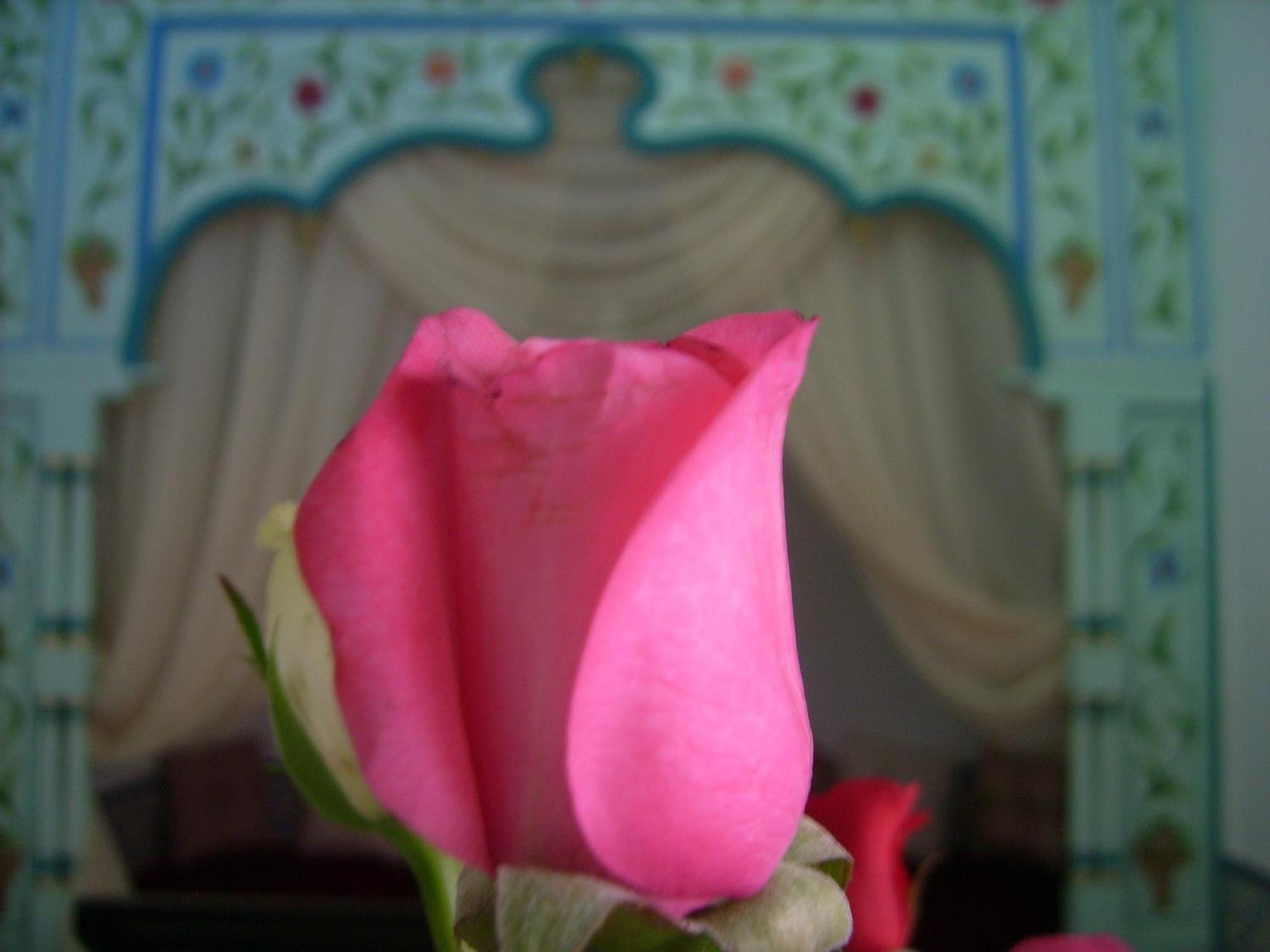Guest house Dar Baaziz Sousse