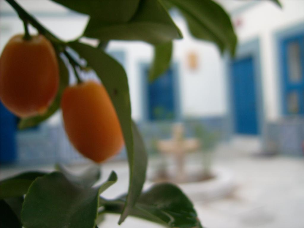 Gasthof Dar Baaziz Sousse